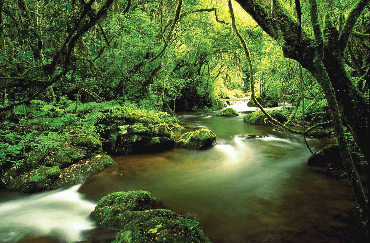 Knysna Hollow Country Estate Dış mekan fotoğraf