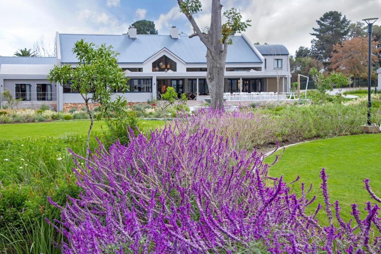 Knysna Hollow Country Estate Dış mekan fotoğraf